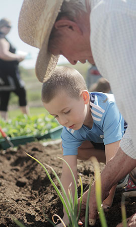 teacher helping child plant vegetables